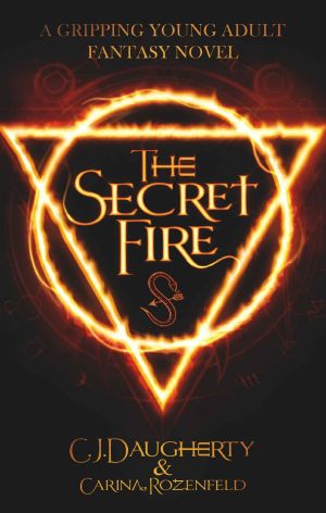 [The Alchemist Chronicles Teen 01] • The Secret Fire